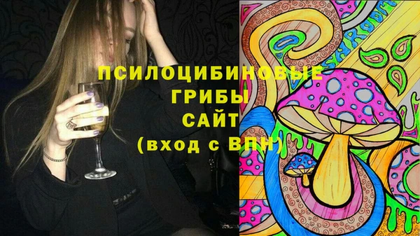 альфа пвп Армянск